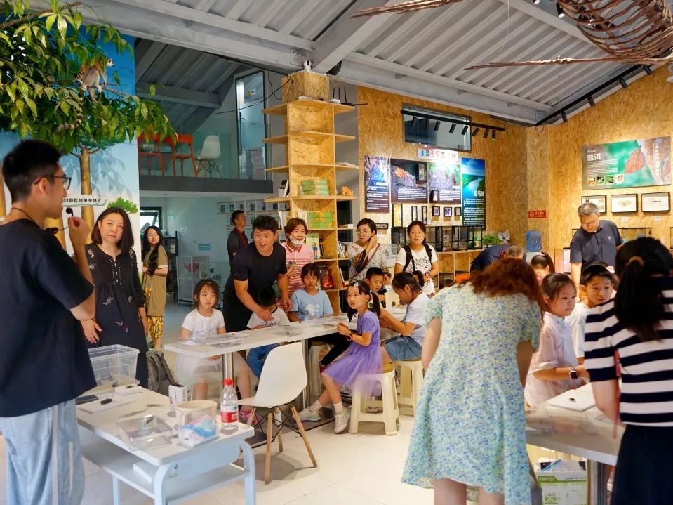 1731288434499521.jpg 圖片25.jpg